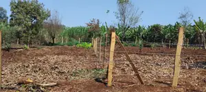 50x100 Plots for Sale Near Ichaweri. Ready Title Deeds