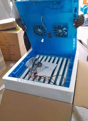 Automatic 64 Eggs Incubator Machine