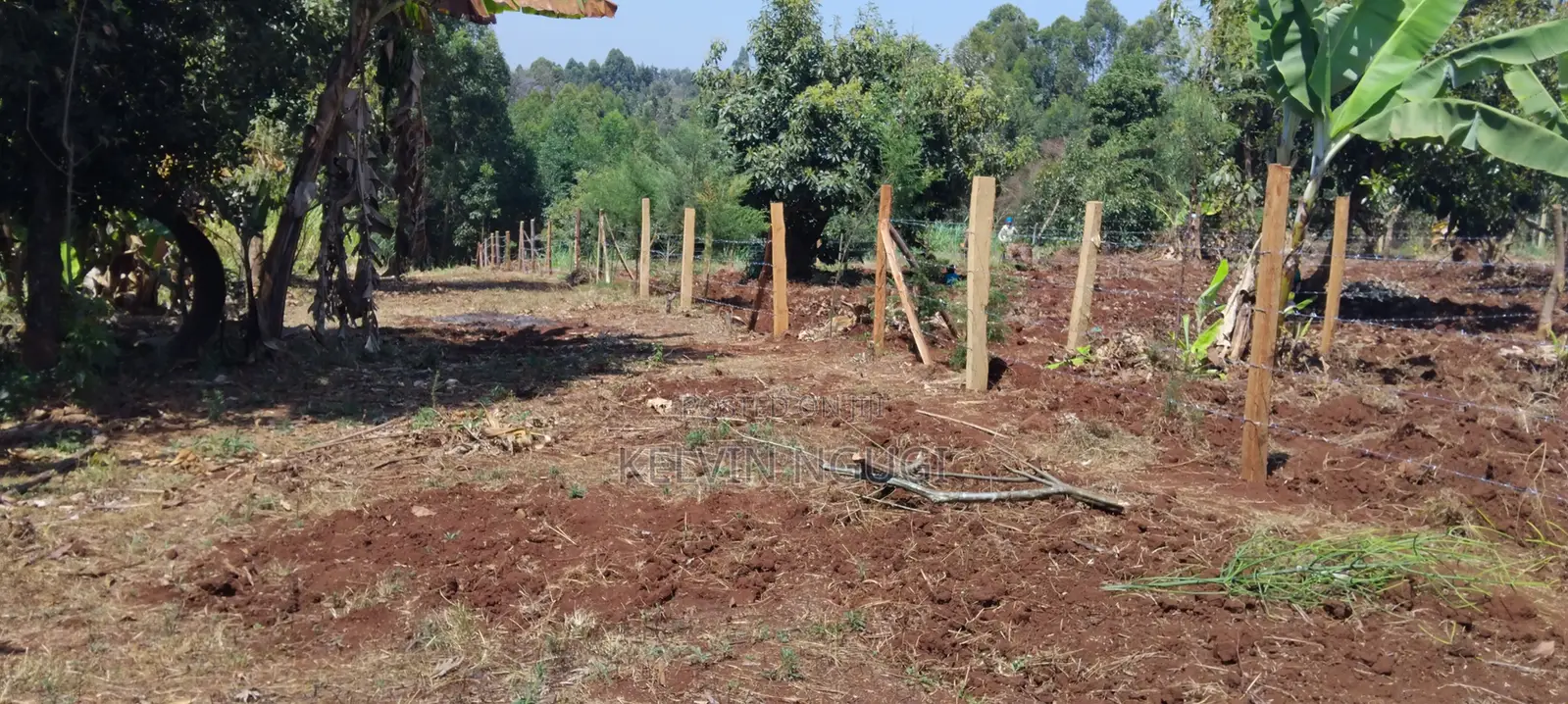 50x100 Plots for Sale Near Ichaweri. Ready Title Deeds
