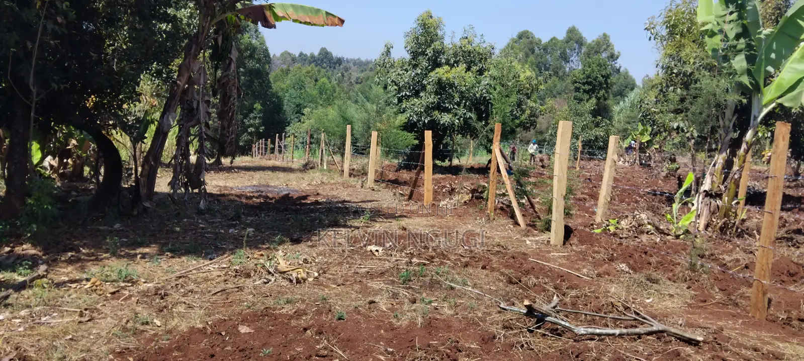 50x100 Plots for Sale Near Ichaweri. Ready Title Deeds
