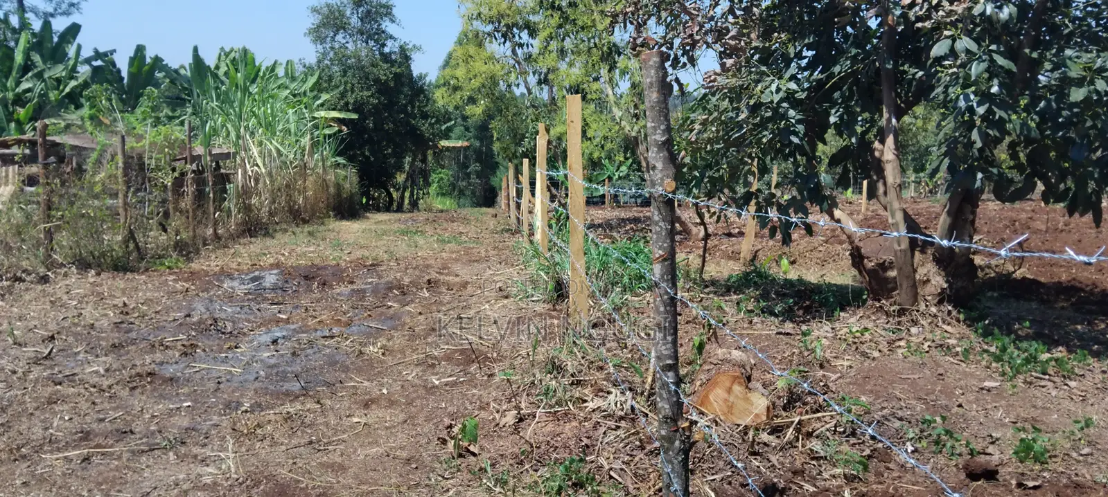 50x100 Plots for Sale Near Ichaweri. Ready Title Deeds