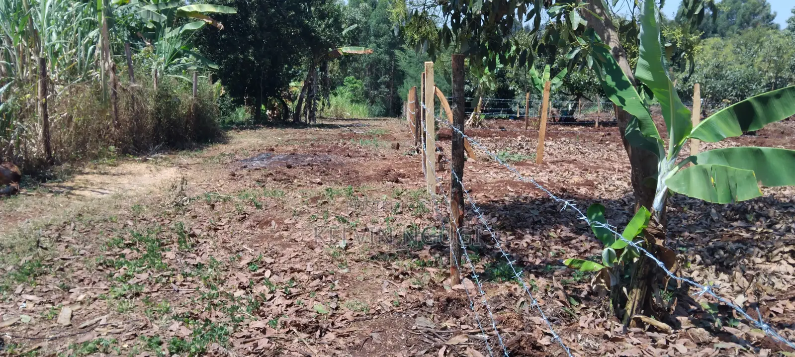 50x100 Plots for Sale Near Ichaweri. Ready Title Deeds