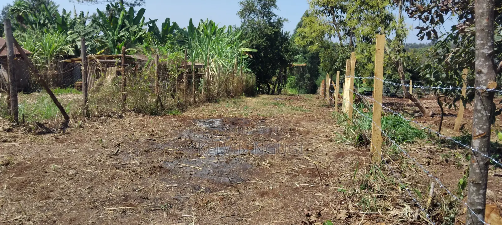50x100 Plots for Sale Near Ichaweri. Ready Title Deeds