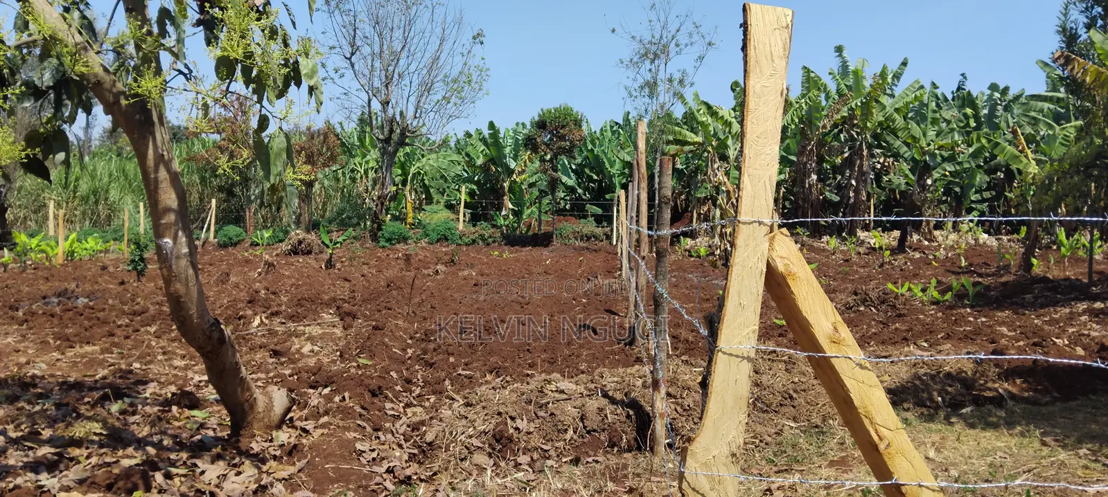 50x100 Plots for Sale Near Ichaweri. Ready Title Deeds