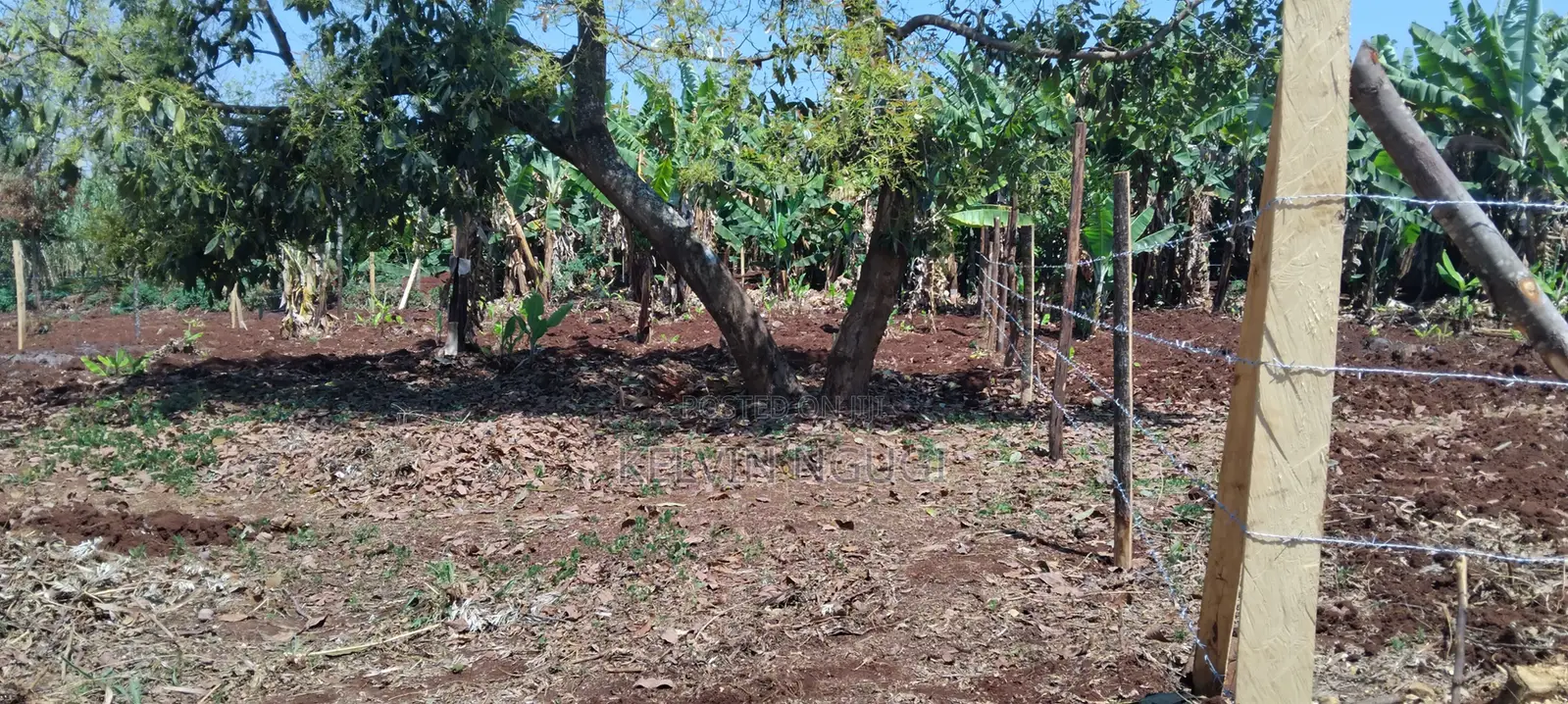 50x100 Plots for Sale Near Ichaweri. Ready Title Deeds