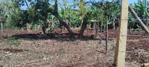 50x100 Plots for Sale Near Ichaweri. Ready Title Deeds