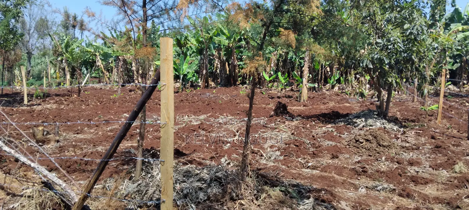 50x100 Plots for Sale Near Ichaweri. Ready Title Deeds