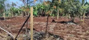 50x100 Plots for Sale Near Ichaweri. Ready Title Deeds