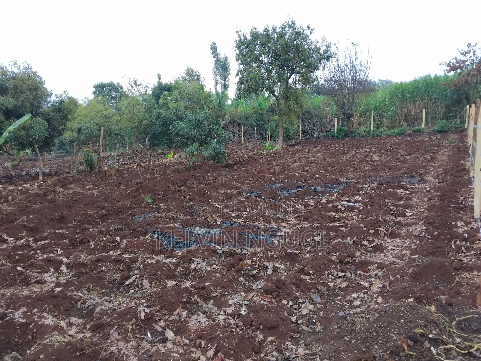 50x100 Plots for Sale Near Ichaweri. Ready Title Deeds