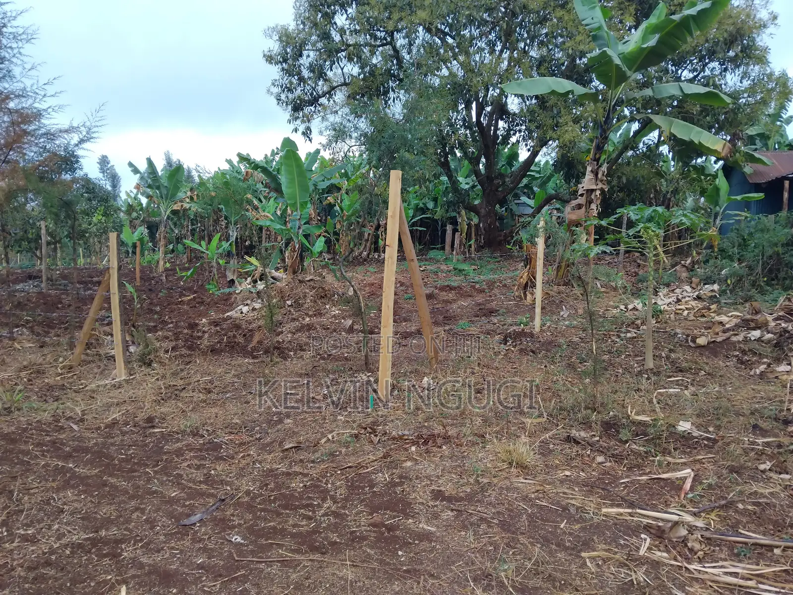 50x100 Plots for Sale Near Ichaweri. Ready Title Deeds