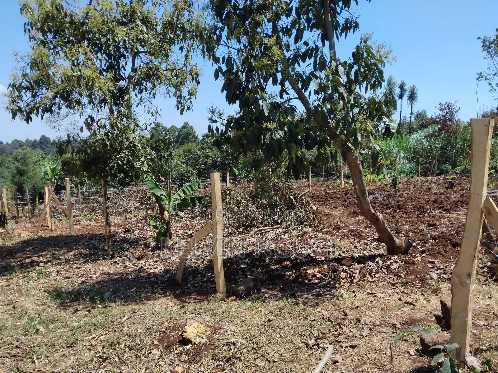 50x100 Plots for Sale Near Ichaweri. Ready Title Deeds