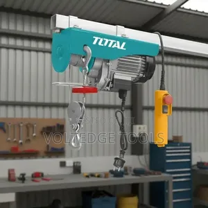 Total 500kg Electric Hoist/ Heavy Duty/900w