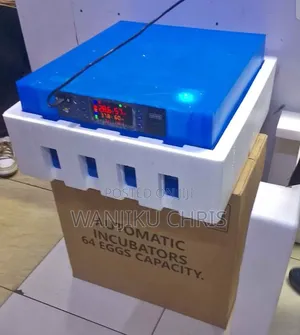 Full Automatic AC/Dc 64 Eggs Incubator.