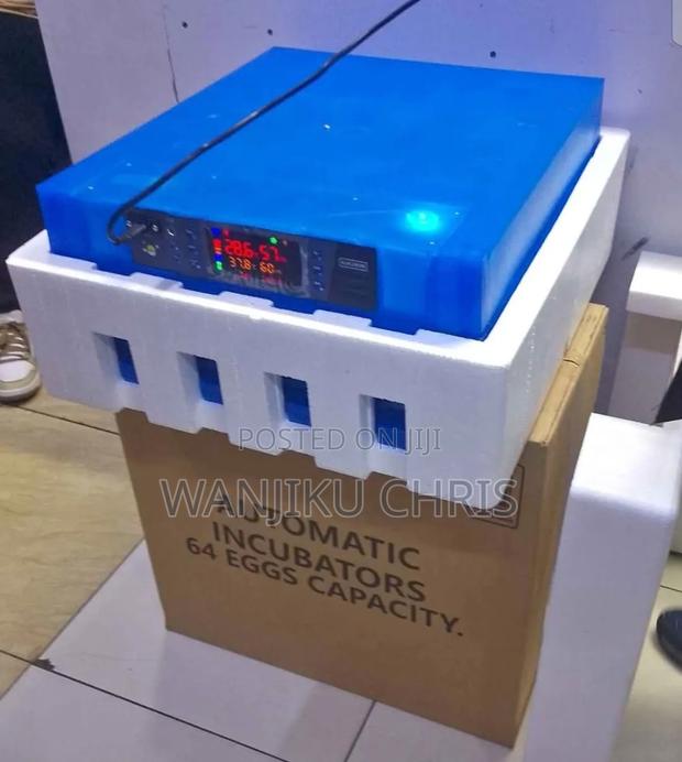 Full Automatic AC/Dc 64 Eggs Incubator. - main view