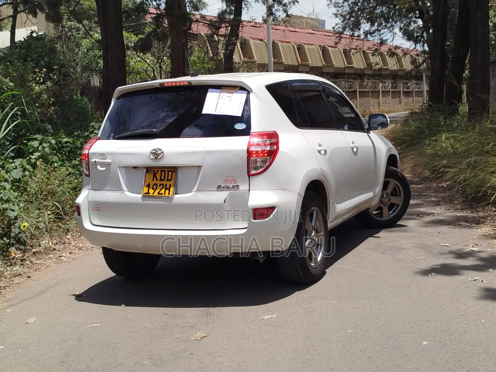 Toyota RAV4 SV Premium 2014 White