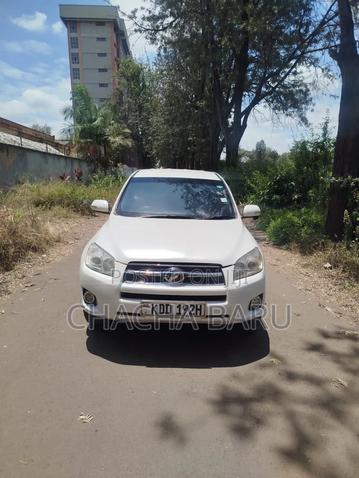Toyota RAV4 SV Premium 2014 White
