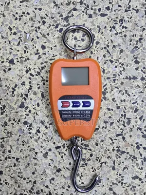 Mini Crane Weighing Scale 200kgs
