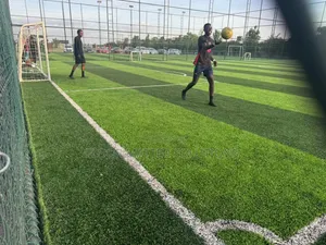 Fifa Certified Football Grass