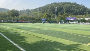Fifa Certified Football Grass