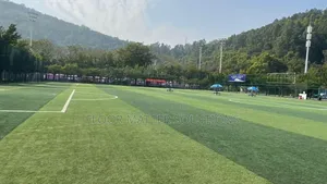 Fifa Certified Football Grass