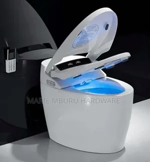 Toilet Smart Auto