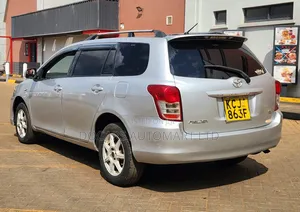 Toyota Corolla Fielder 2009 Silver