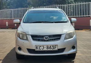 Toyota Corolla Fielder 2009 Silver