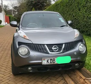 Nissan Juke 2013 Gray