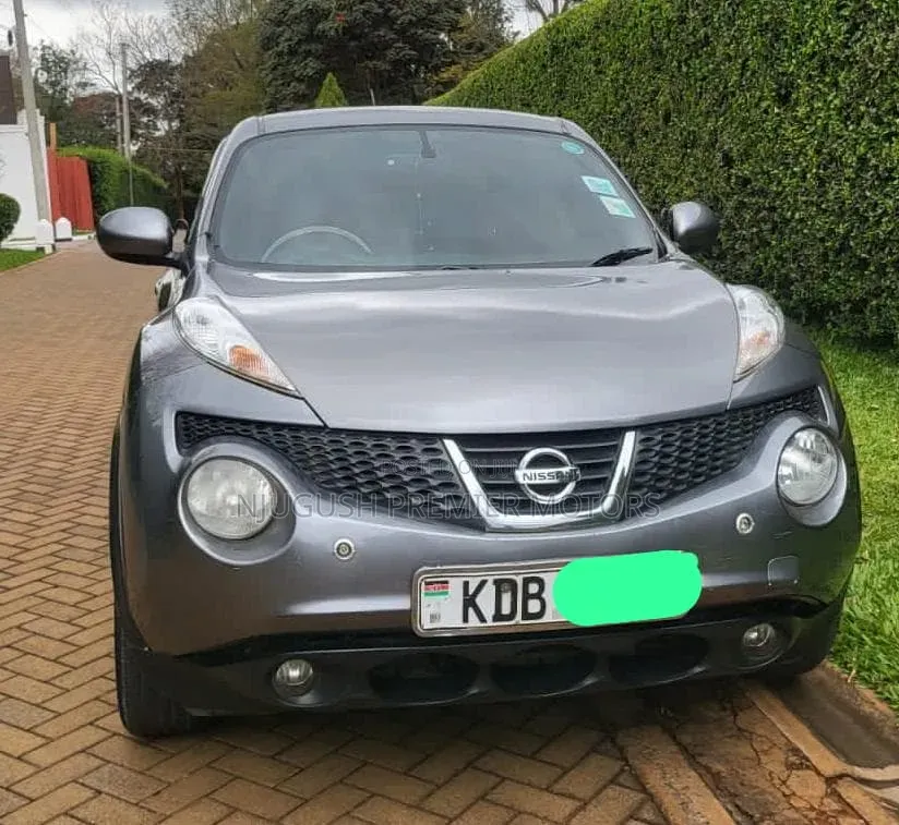 Nissan Juke 2013 Gray