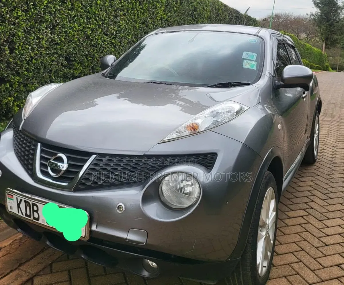 Nissan Juke 2013 Gray
