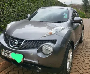 Nissan Juke 2013 Gray