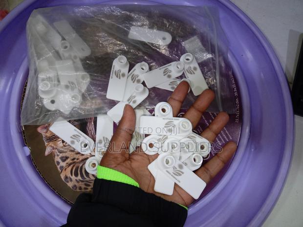 Ear Tags - Color Options