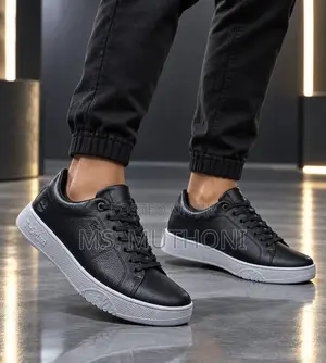 Timberland Trendy Men Smart Casual Shoe - Black Size 40-45