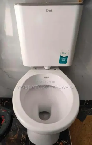 Toilet Ordinary, Cistern Plastic