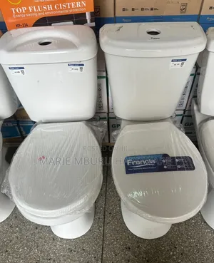 Toilet Seat Flashing Double Flush