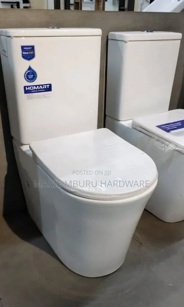 Toilet Two Piece Body Good