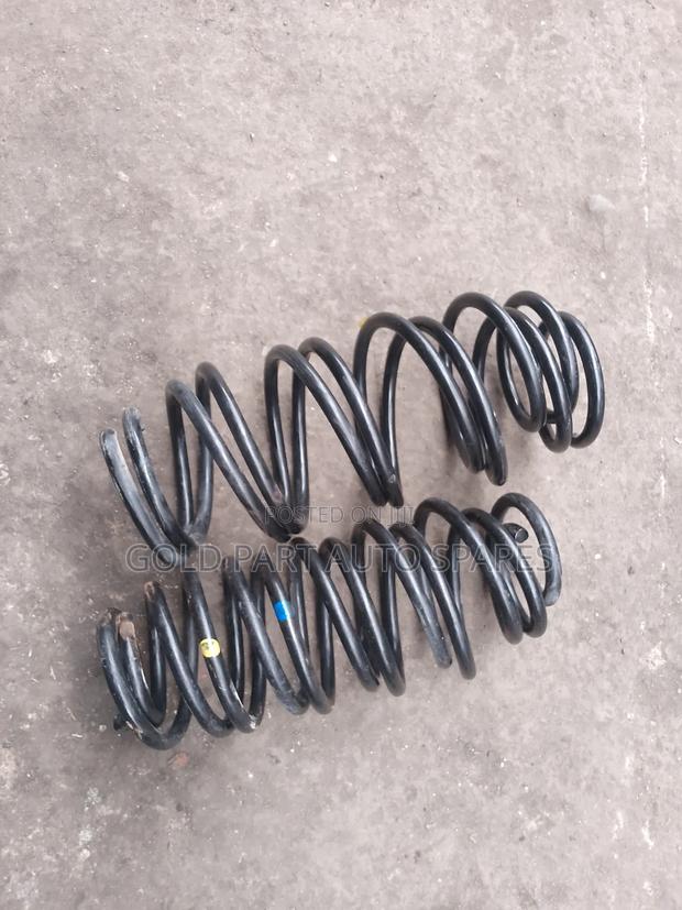 Ex Japan Hevvy Deuty Coil Spring for Axio