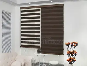 Sleek Sheer Roller Blinds for Modern Homes Windows