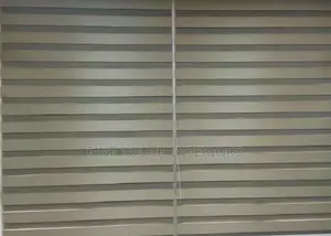 Sheer Roller Window Blinds for House Renovation