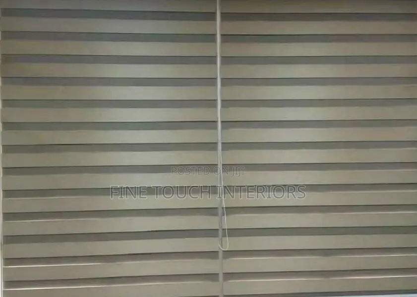 Sheer Roller Window Blinds for House Renovation