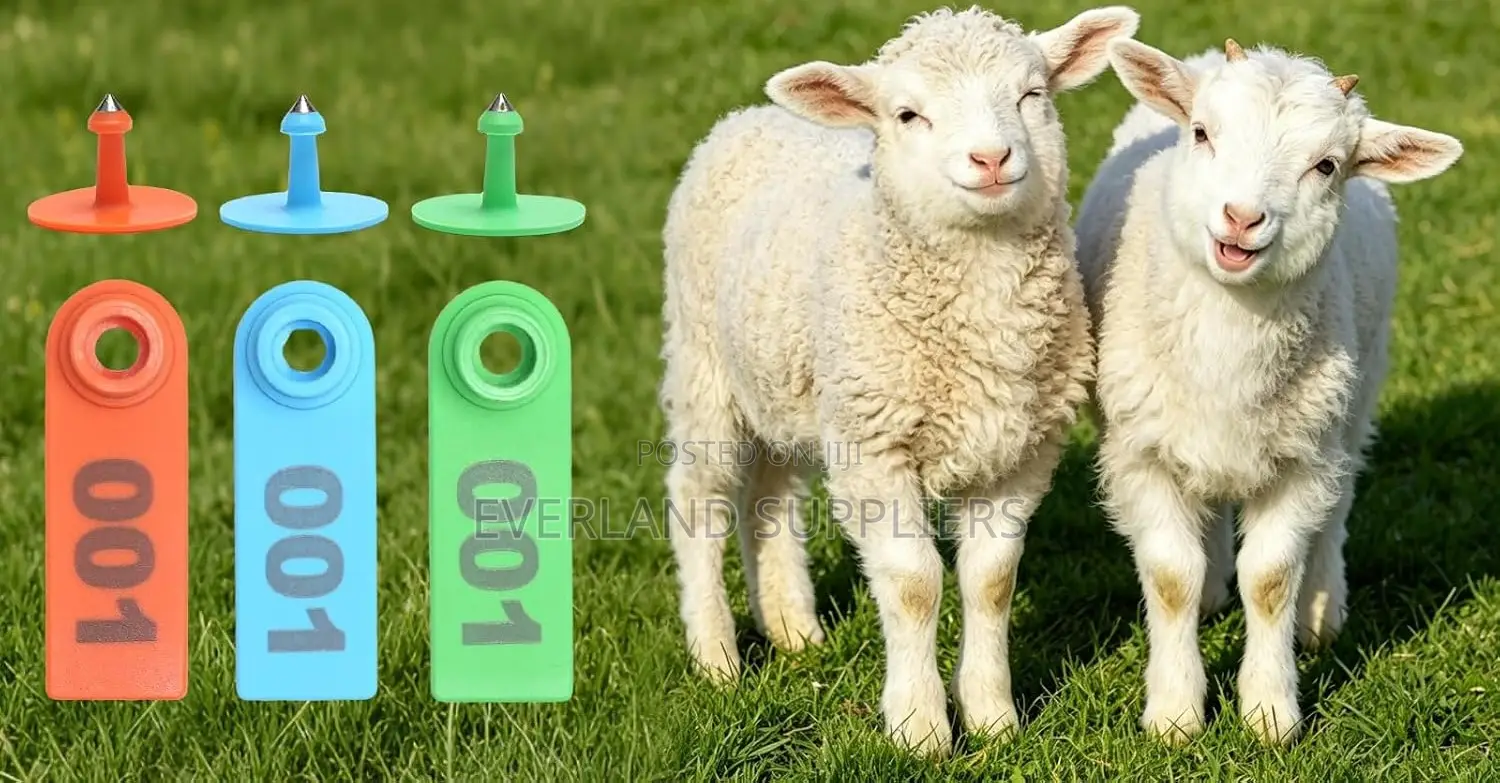 Ear Tags - Bright Numbering