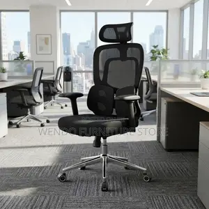 Office Chairs; Orthopedic Black Mesh Office Senate Seat