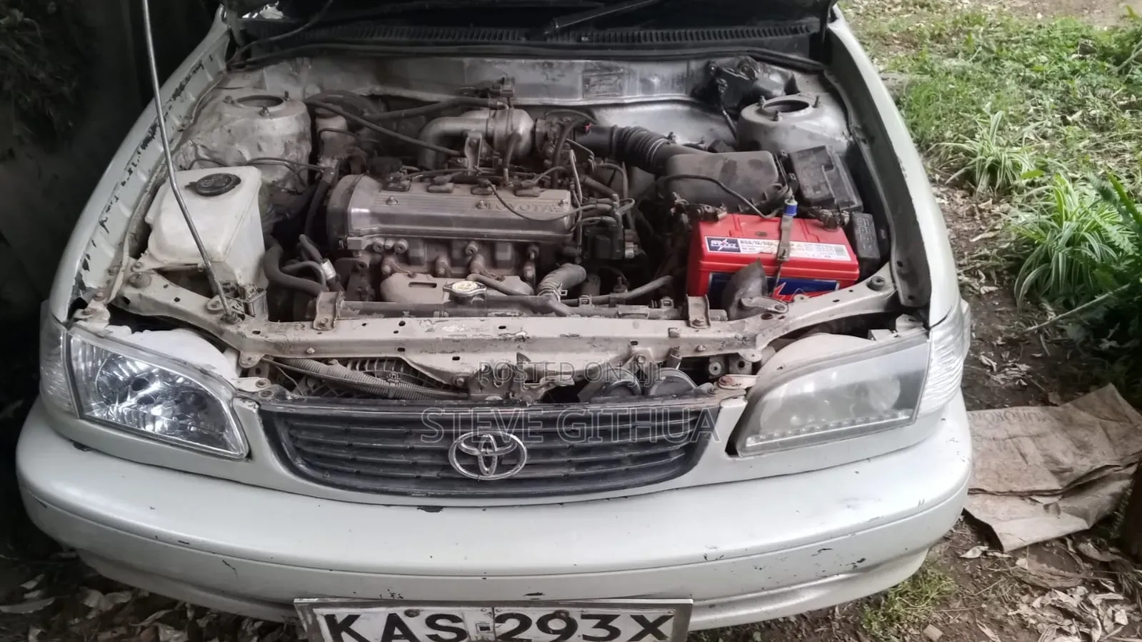 Toyota Corolla 2002 Pearl