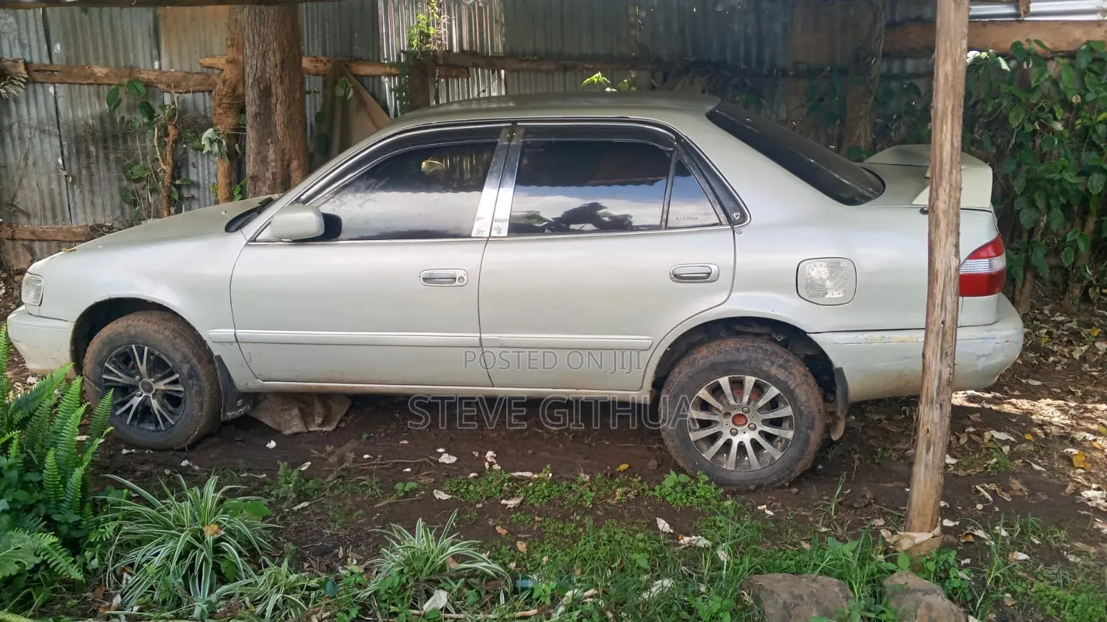 Toyota Corolla 2002 Pearl