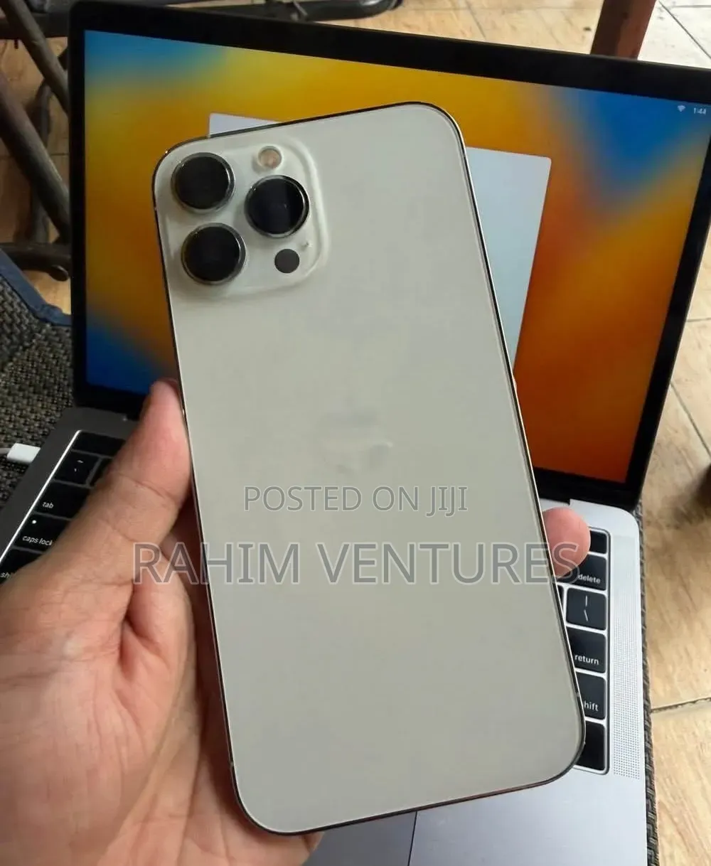 Apple iPhone 13 Pro Max 256 GB Gray