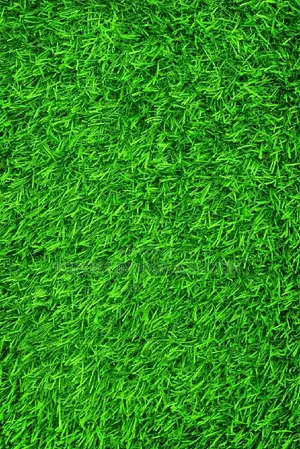 Artificial Grass With a Cushiony Cushion Close to a Natural Grass
