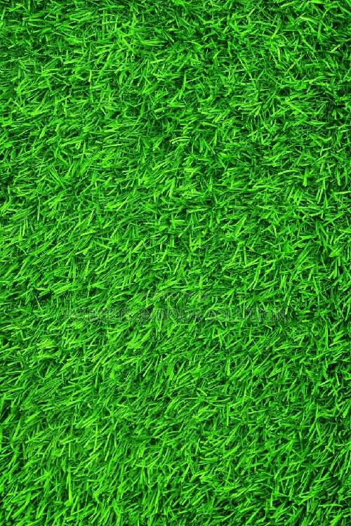 Artificial Grass With a Cushiony Cushion Close to a Natural Grass
