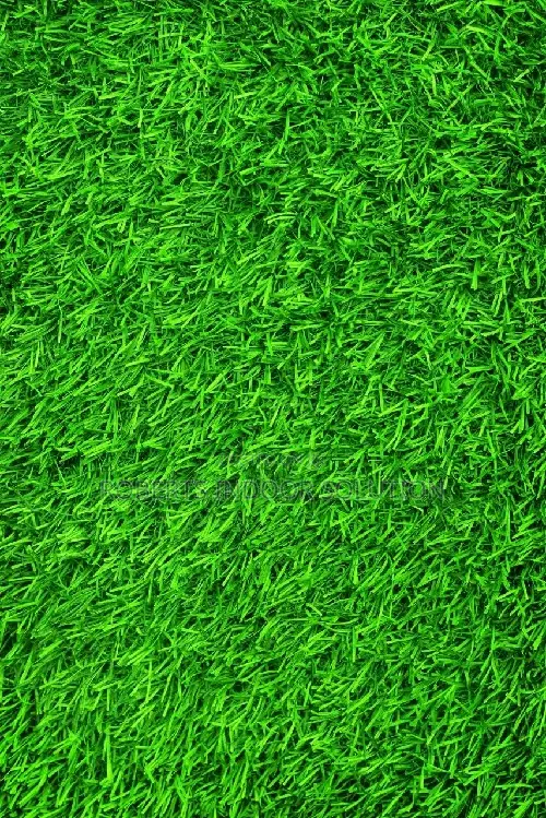 Artificial Grass With a Cushiony Cushion Close to a Natural Grass