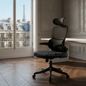 Office Chairs; Adjustable Home Office Orthopedic Mesh Chairs