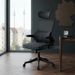 Office Chairs; Adjustable Home Office Orthopedic Mesh Chairs